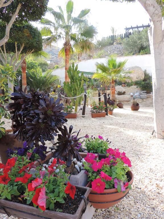 Hotel Las Calas Агуа-Амарга Екстер'єр фото